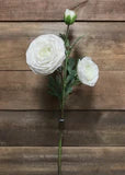 FRESH TOUCH RANUNCULUS SPRAY