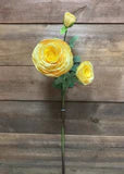 FRESH TOUCH RANUNCULUS SPRAY