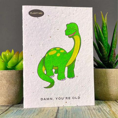 BIRTHDAY DINASOAR PLANTABLE CARD