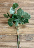 EUCALYPTUS PICKS BUNDLES