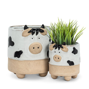 COW PLANTERS