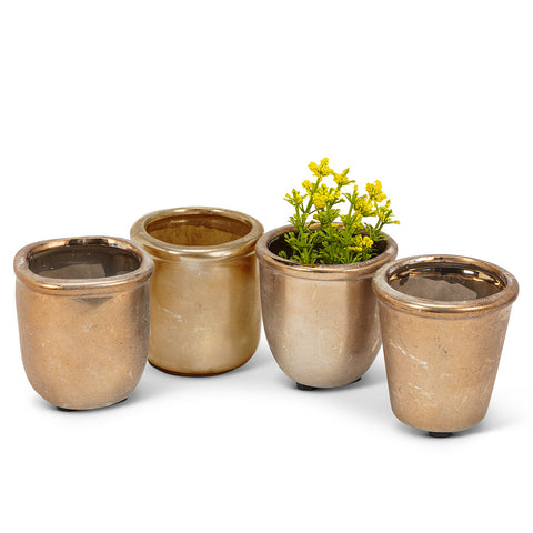 GOLD RUSTIC MINI PLANTERS